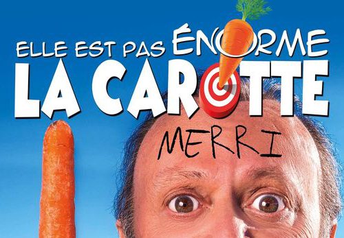 MERRI, un artiste CANAL BLEU PRODUCTIONS – diffusion et productions de spectacles en Pays de la Loire